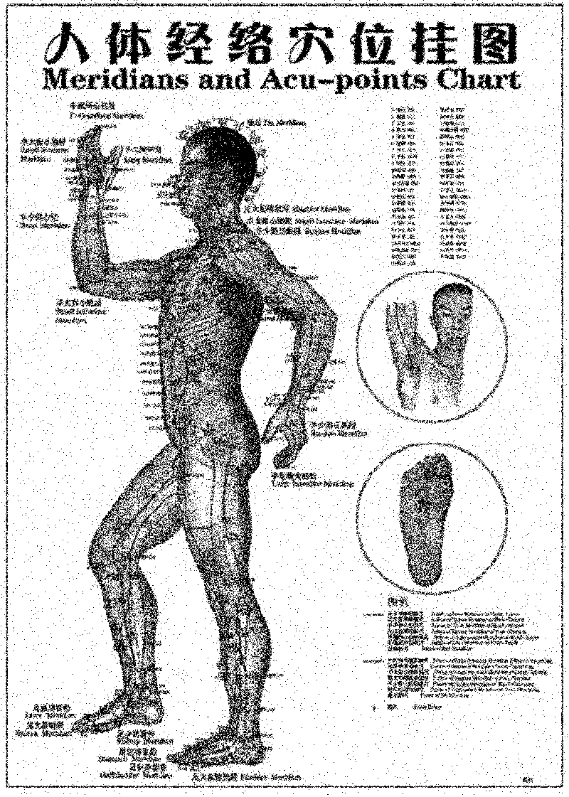 Acupuncture Diagram